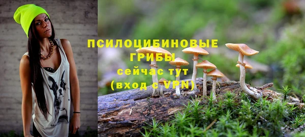 тгк Аркадак